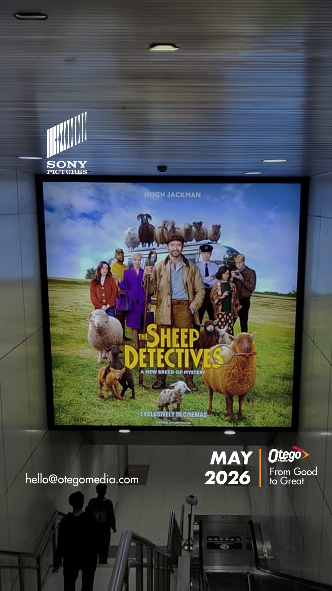 Who says sheep canβt solve crimes?Watch The Sheep Detectives now and join the flock to solve the mystery! ππ#thesheepdetectives #movie